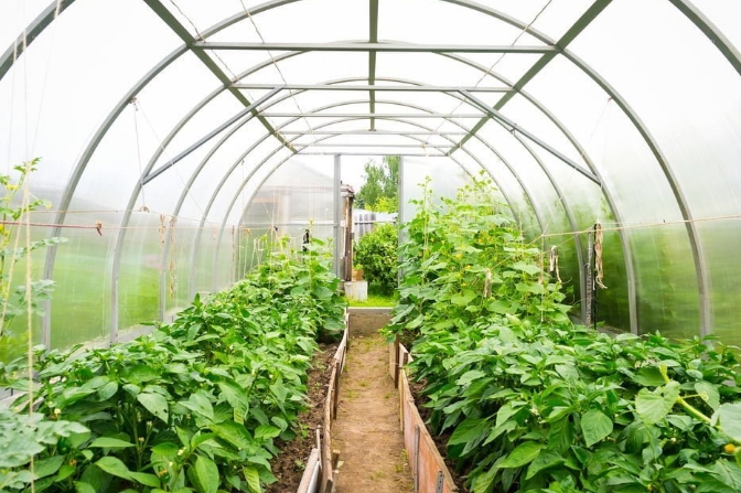 Como os grandes geradores de ar e água AWG tornam a agricultura mais resiliente à seca